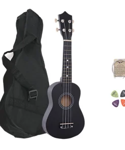 Musical instrument